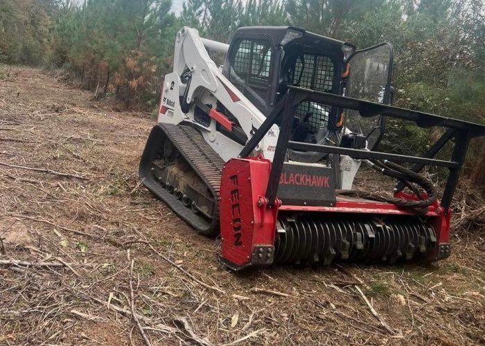 forestry mulching services in Magnolia, MS